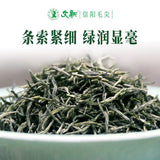 【文新】信阳毛尖200g/罐 一级 雨前芽叶 非遗技艺