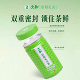 【文新】信阳毛尖200g/罐 一级 雨前芽叶 非遗技艺