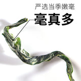 【天福茗茶】碧螺春100g/罐 满披茸毫 3泡 依旧浓郁