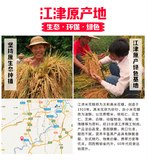 【荷花】米花糖450g/袋 内含10封米花糖 正宗江津米花糖 回忆儿时的味道