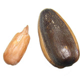 【洽洽】大颗粒瓜子108g/袋 山核桃味 焦糖味 2种口味可选