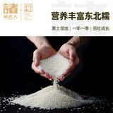 【诸老大】酱香黑猪鲜肉粽600g/袋(6只装) 中华名小吃 跳水冠军陈若琳推荐