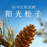 【百草味】阳光东北松子458g/罐 来自长白山脉