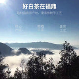 【天福茗茶】贡眉白茶300g/罐 白茶润心 鲜爽回甘