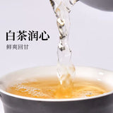 【天福茗茶】贡眉白茶300g/罐 白茶润心 鲜爽回甘