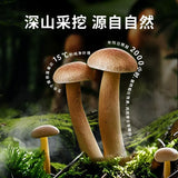 【金大州】香辣鹿茸菇450g/袋（15g*30袋）开袋即食 每一口都是山野鲜香