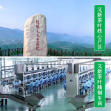 【文新】信阳毛尖75g/罐 明前手工 特级嫩芽 国家地理标识保护产品