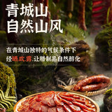 【青城山】麻辣香肠458g/袋 三七肥瘦 四川老字号 成都非遗