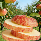 【Botherless】茶萃冻干苹果圈145.5g/袋（3口味，共30包）山姆会员店出品