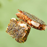 【美珍香】米酥肉松海苔片210g/袋（15g*14小包）咔嚓三层 海陆双鲜