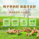 【舜华】酱板鸭186g/袋（约50小包）微辣 有嚼劲 临武鸭 充氮保鲜