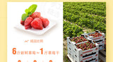 【良品铺子】法兰蒂草莓98g*2袋 草莓干 自然香甜 Q软可口